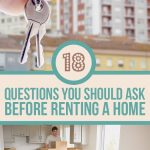 Rental  Everything You Have To Know