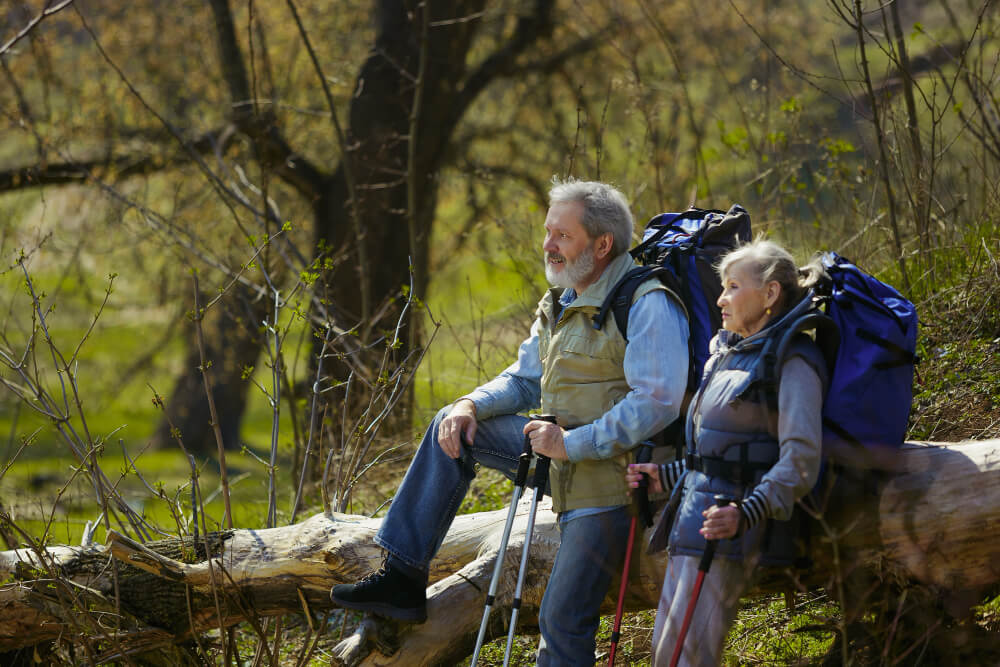 Wildlife Encounters Unique Fauna and Flora on Senior Tours in New Zealand